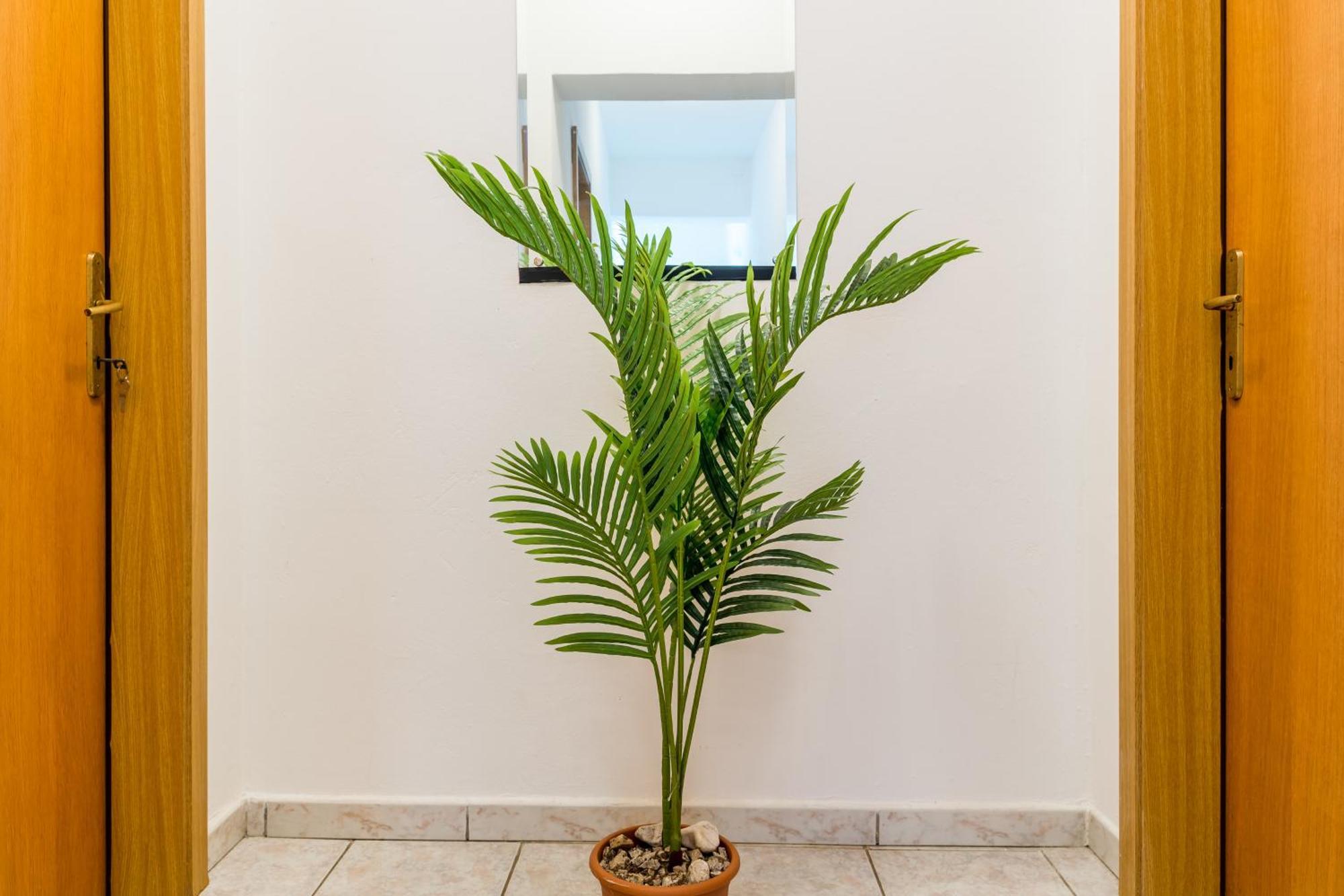 Apartments Claudia Šmrika المظهر الخارجي الصورة